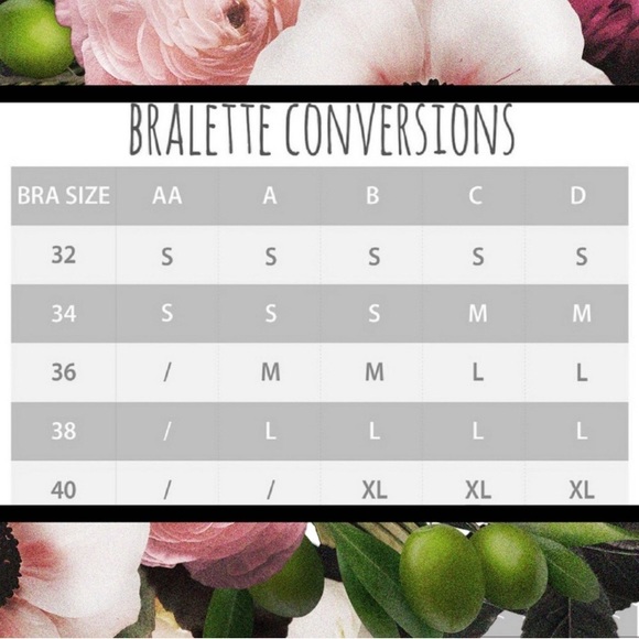 2️⃣/$50 Violet Gray Crochet Lace Bralette - Picture 4 of 4